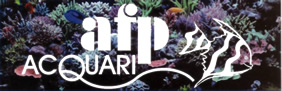 Afp Acquari - Acquari,Piante e Pesci Tropicali