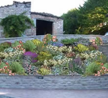 La Rosa Profumata - Simulazione giardini - Pesaro e Urbino Marche Italia