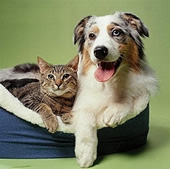 Tarini Snc - Vendita all`ingrosso di mangimi per cane e gatto - Pesaro e Urbino Marche Italia