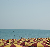Camping `La Mimosa` - Spiaggia libera e privata