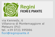 Regini - Fiori e Piante - Villanova di Montemaggiore al Metauro