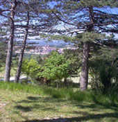 Camping Pineta Urbino - a Contatto con la natura - Pesaro e Urbino Marche Italia