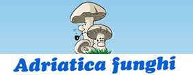 Adriatica Funghi - Coltivazione e vendita funghi per ristoranti
