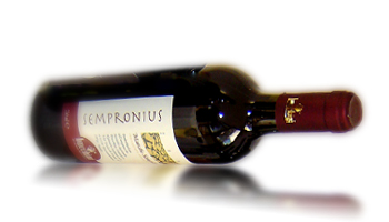 Azienda Agricola  BUCCHINI - Sangiovese Sempronius  - Pesaro e Urbino Marche Italia