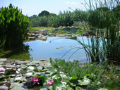 BLU DUE Piscine - Vendita e assistenza - Biopiscine