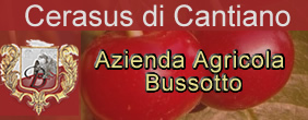 Cerasus Cantiano - Produzione Vino di Visciole, Amarene e Confetture
