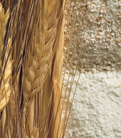 Gino Girolomoni Cooperativa - Farine Biologiche
