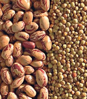 Gino Girolomoni Cooperativa - Legumi e Cereali Biologici