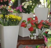 Fiori De maio - Composizioni Floreali - Pesaro e Urbino Marche Italia