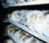 Latticini Giuliana - Formaggi e latticini marchigiani e italiani DOP