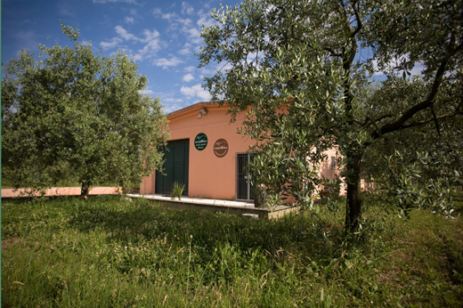 Azienda agricola Berloni Giuliano - Produzione Liquor d\`Ulivi e Olio Biologico Azienda agricola Berloni Giuliano - Produzione Liquor d\`Ulivi e Olio Biologico