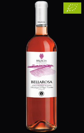 Bruscia Organic Wine - Rosato of Colli Pesaresi - Bellarosa