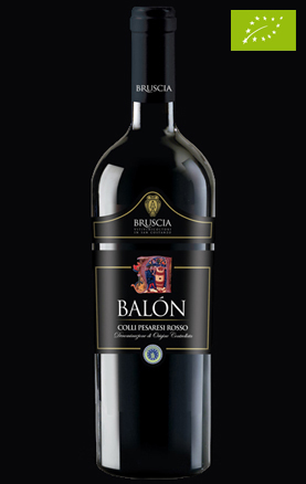 Bruscia Organic Wine - Red of Colli Pesaresi - Balon