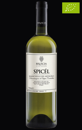 Bruscia Organic Wine - Bianchello del Metauro - Spicel
