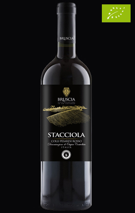Bruscia Organic Wine - Red of Colli Pesaresi - Stacciola