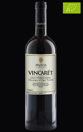 Bruscia Organic Wine - Red of Colli Pesaresi - Vincaret