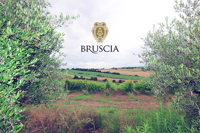 Azienda Agricola Bruscia - Produzione Vino da Uve Biologiche